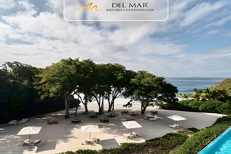 Bolongo 310 by Del Mar