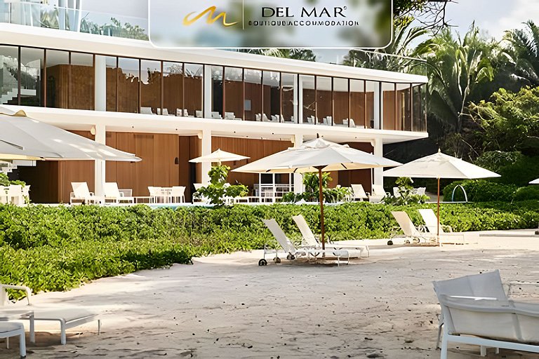 Bolongo 310 by Del Mar